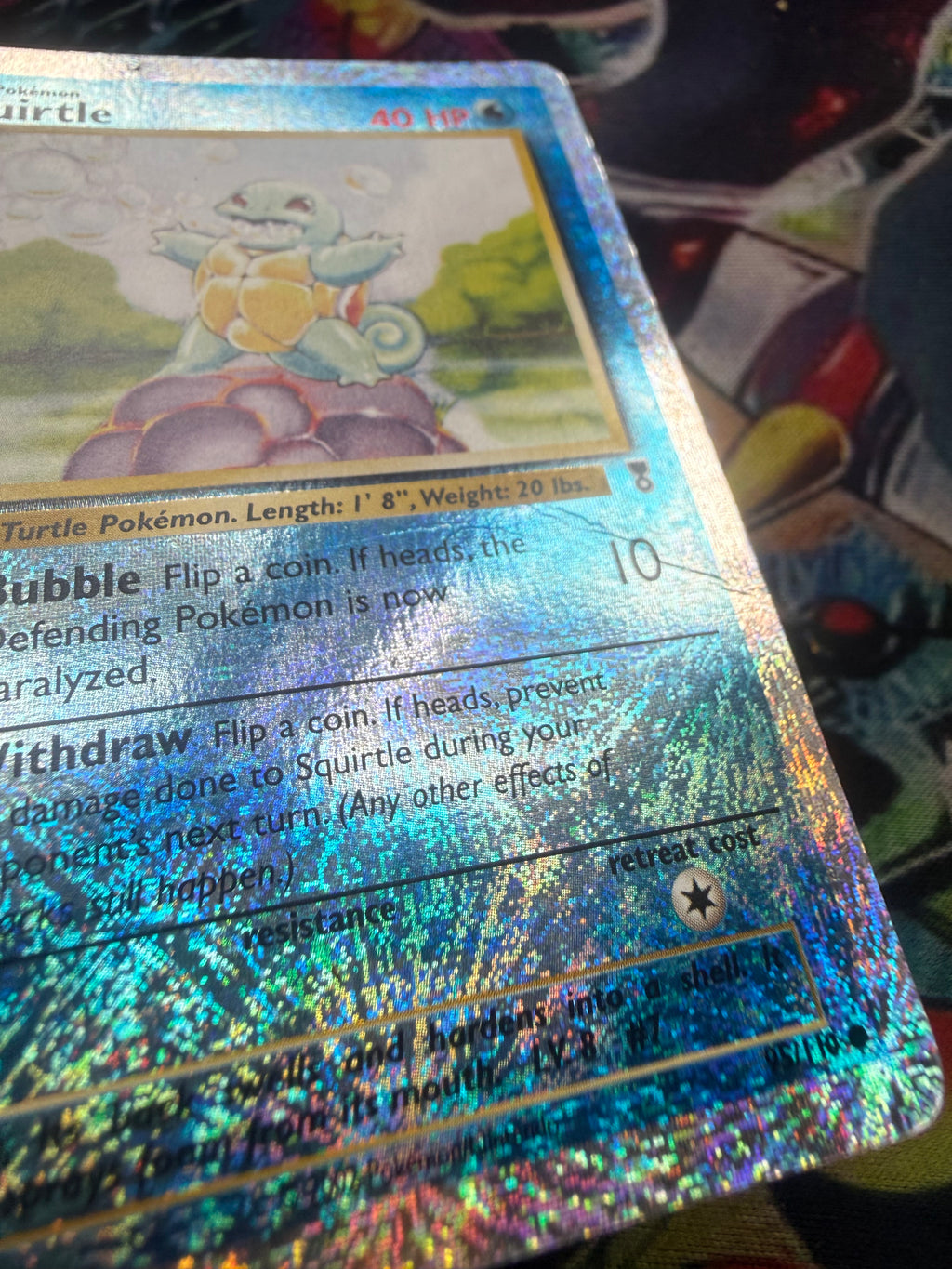 Squirtle holo revers lp