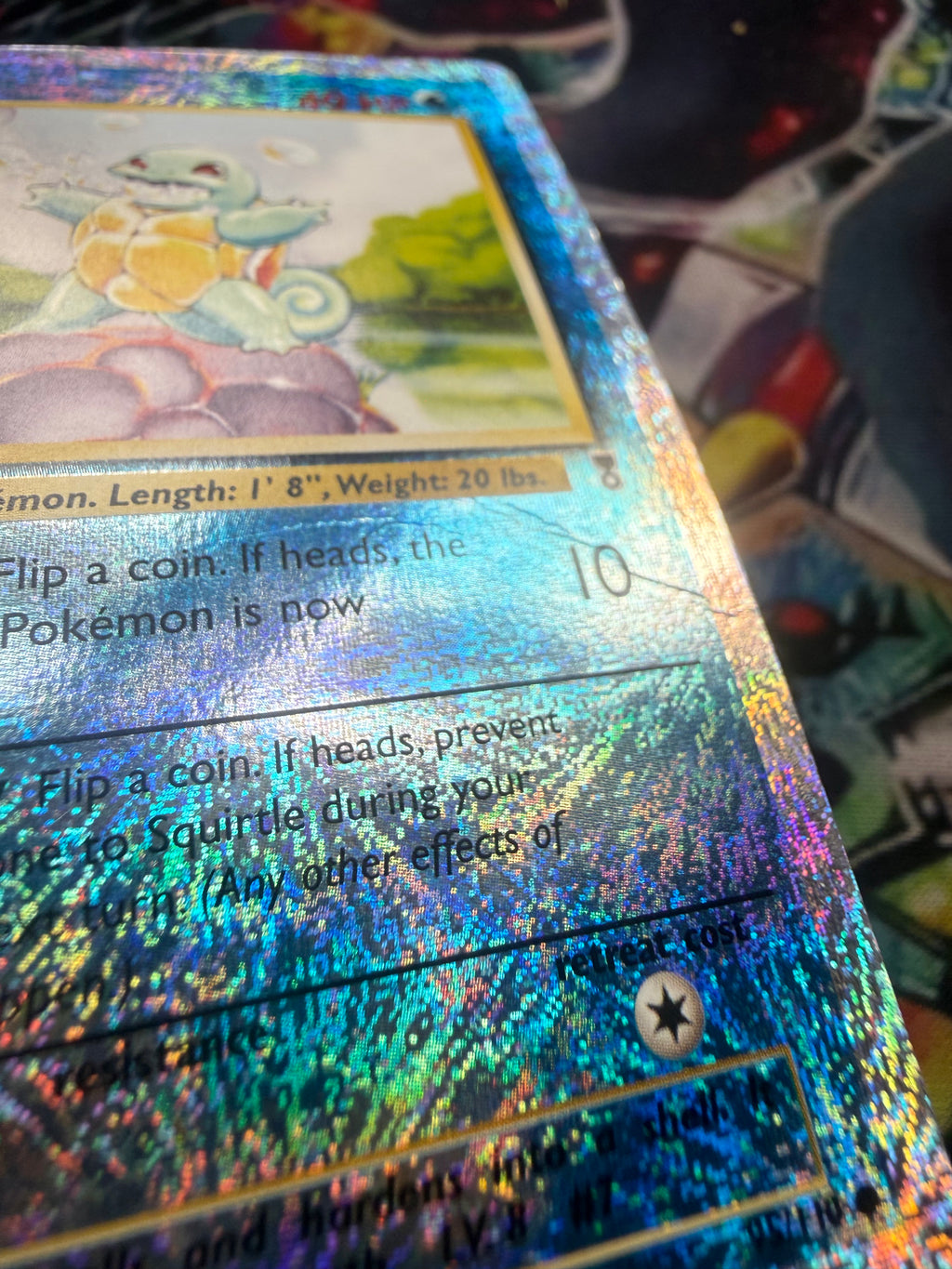 Squirtle holo revers lp