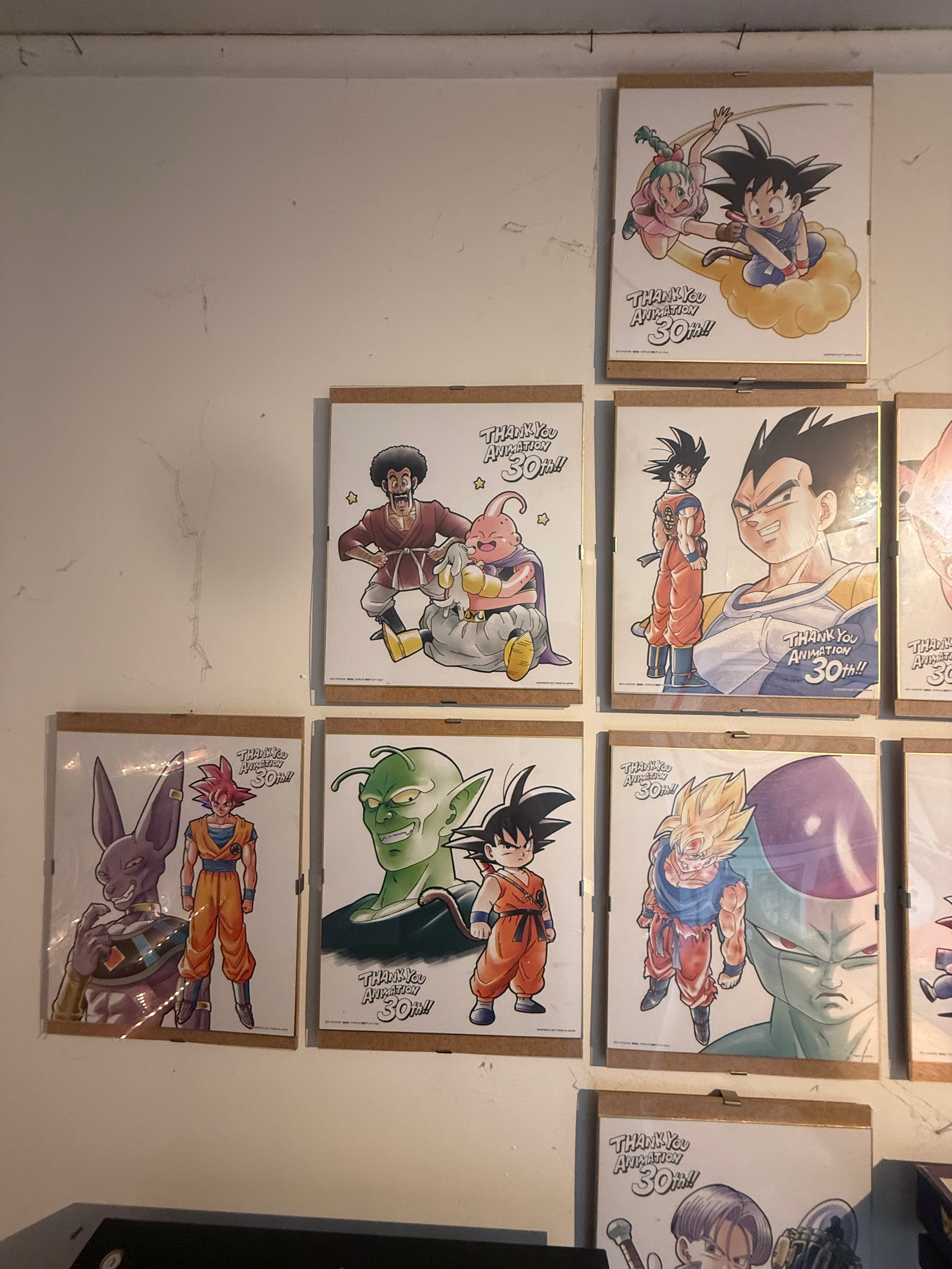 Collezione Shikishi 30th