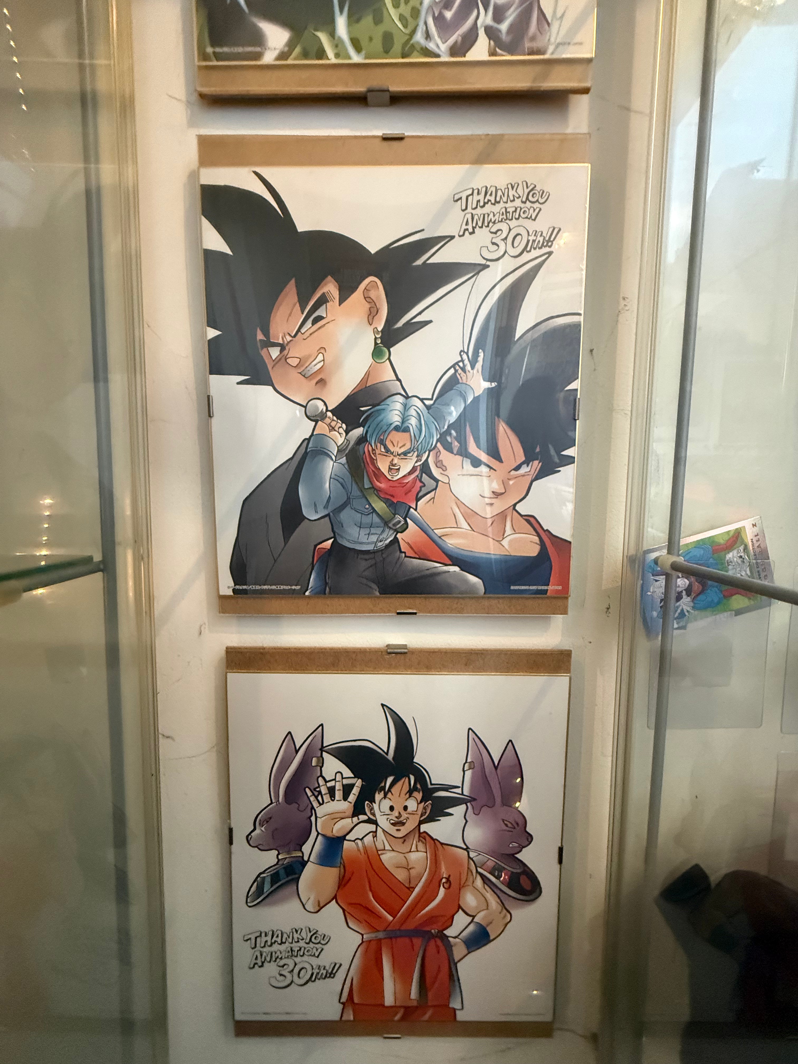Collezione Shikishi 30th