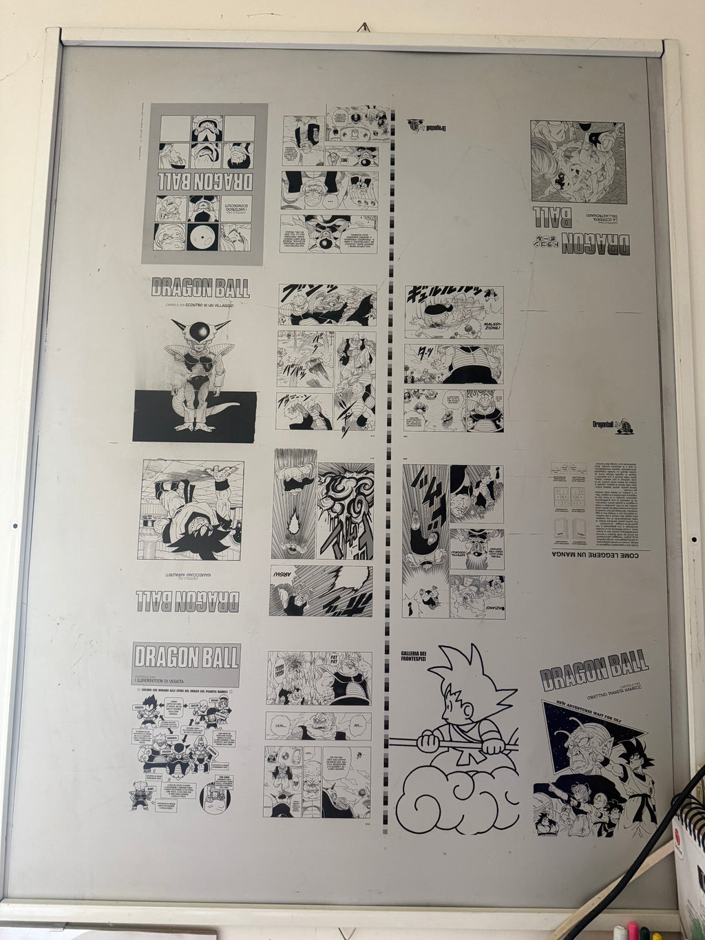 Lastra di Stampa Originale Offset in Alluminio – Dragon Ball (Saga di Namecc)