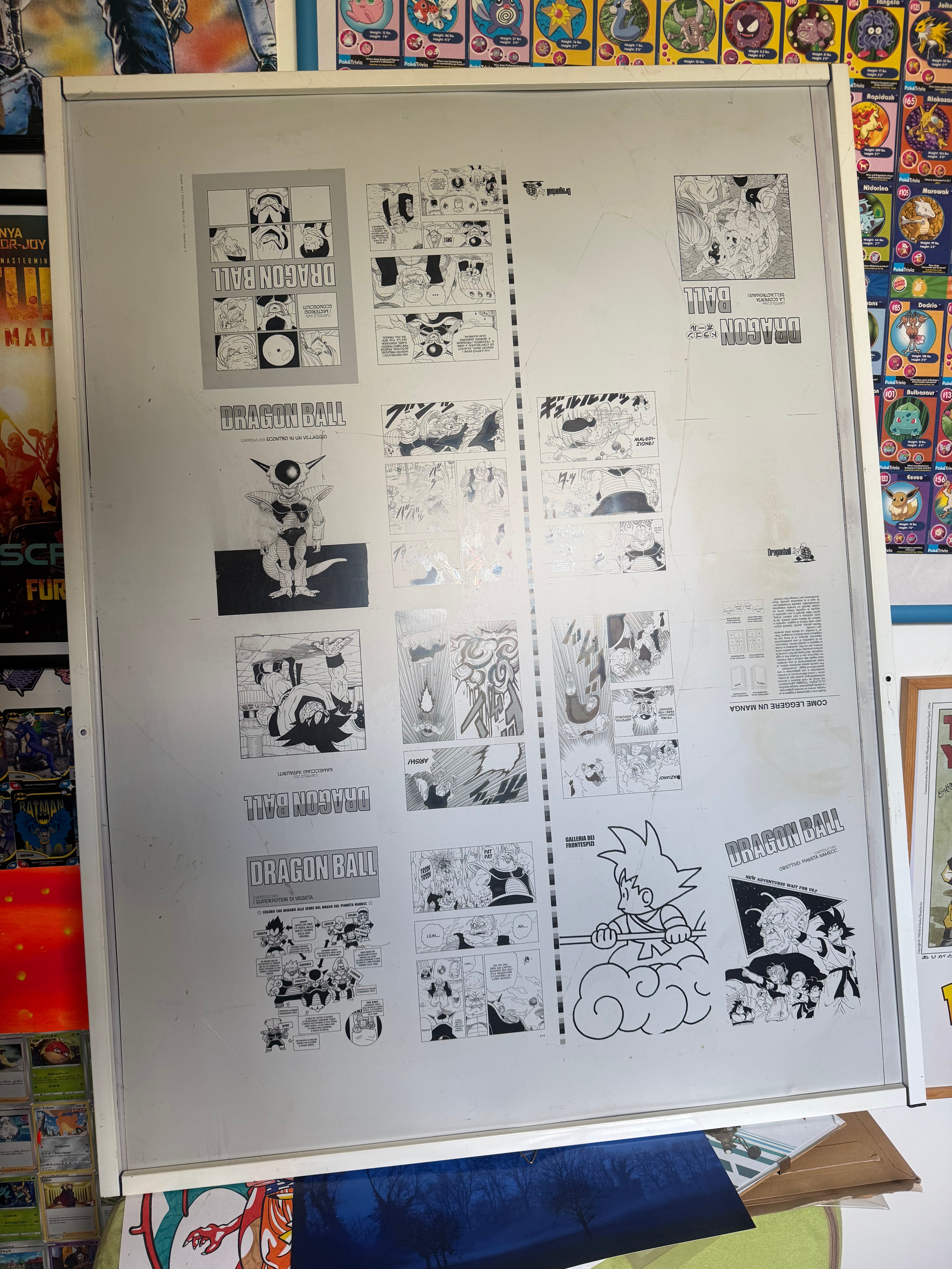 Lastra di Stampa Originale Offset in Alluminio – Dragon Ball (Saga di Namecc)