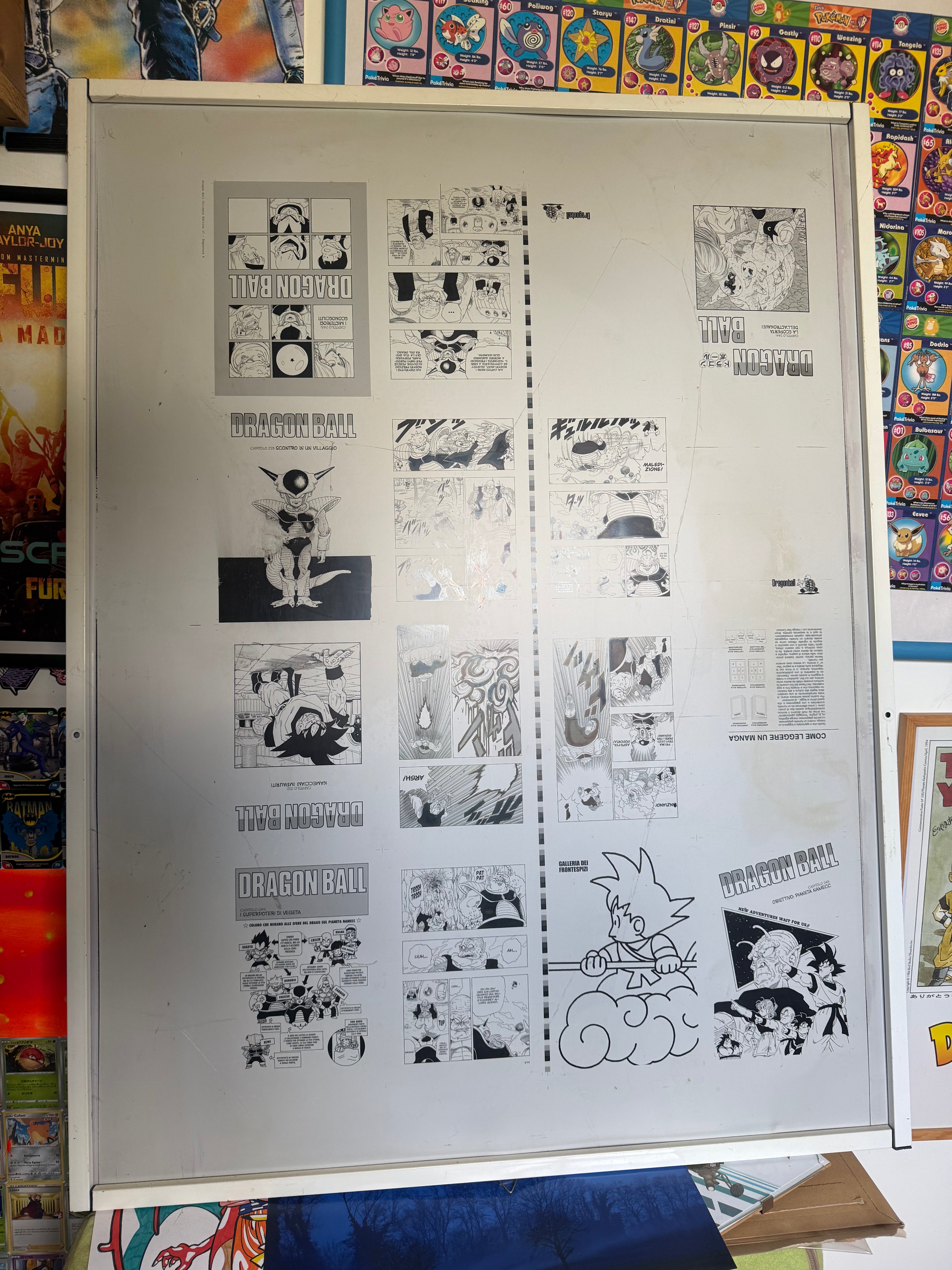 Lastra di Stampa Originale Offset in Alluminio – Dragon Ball (Saga di Namecc)