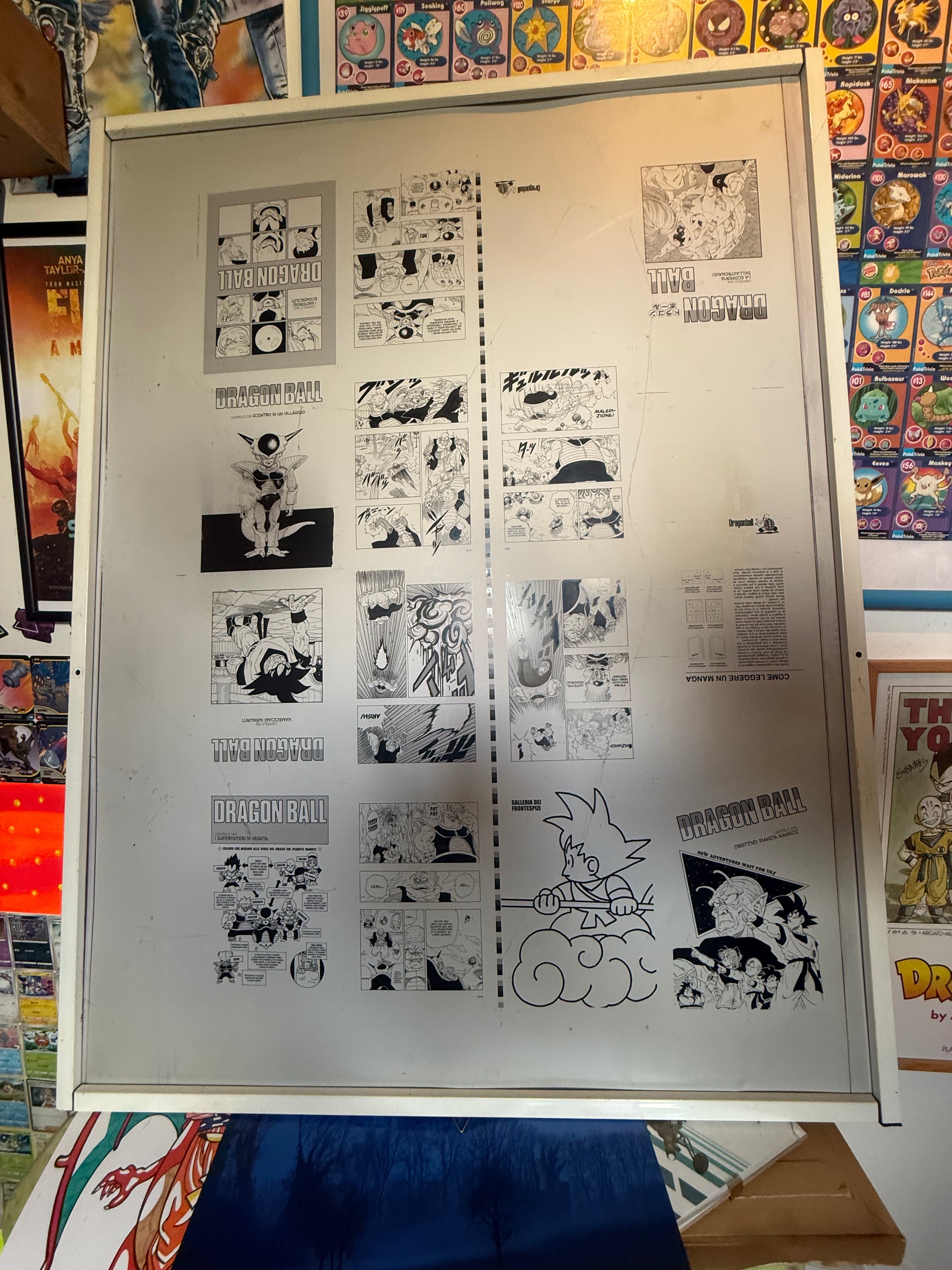 Lastra di Stampa Originale Offset in Alluminio – Dragon Ball (Saga di Namecc)