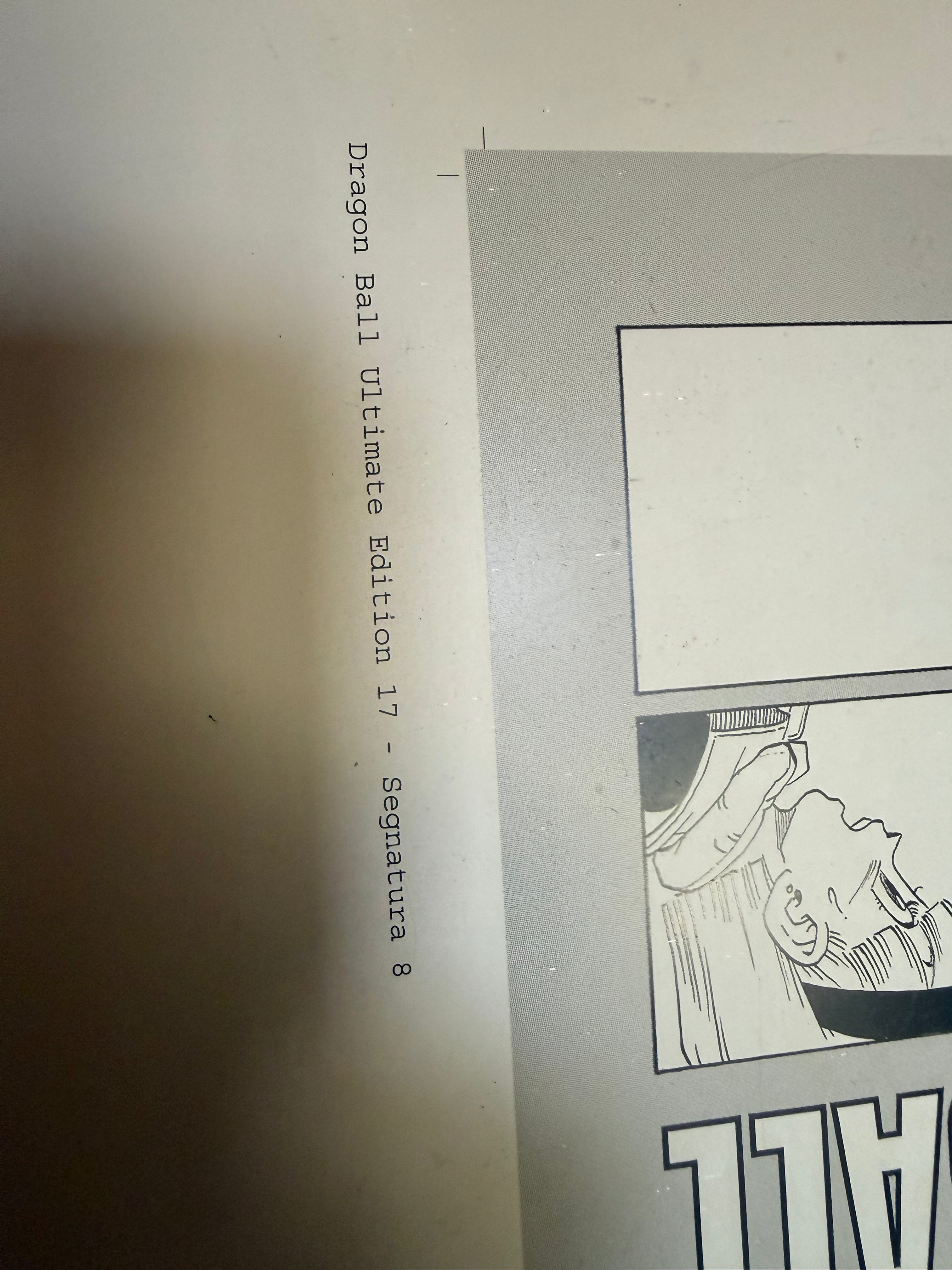 Lastra di Stampa Originale Offset in Alluminio – Dragon Ball (Saga di Namecc)