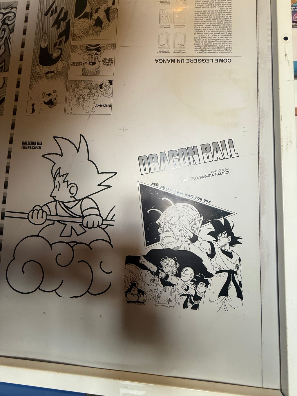 Lastra di Stampa Originale Offset in Alluminio – Dragon Ball (Saga di Namecc)