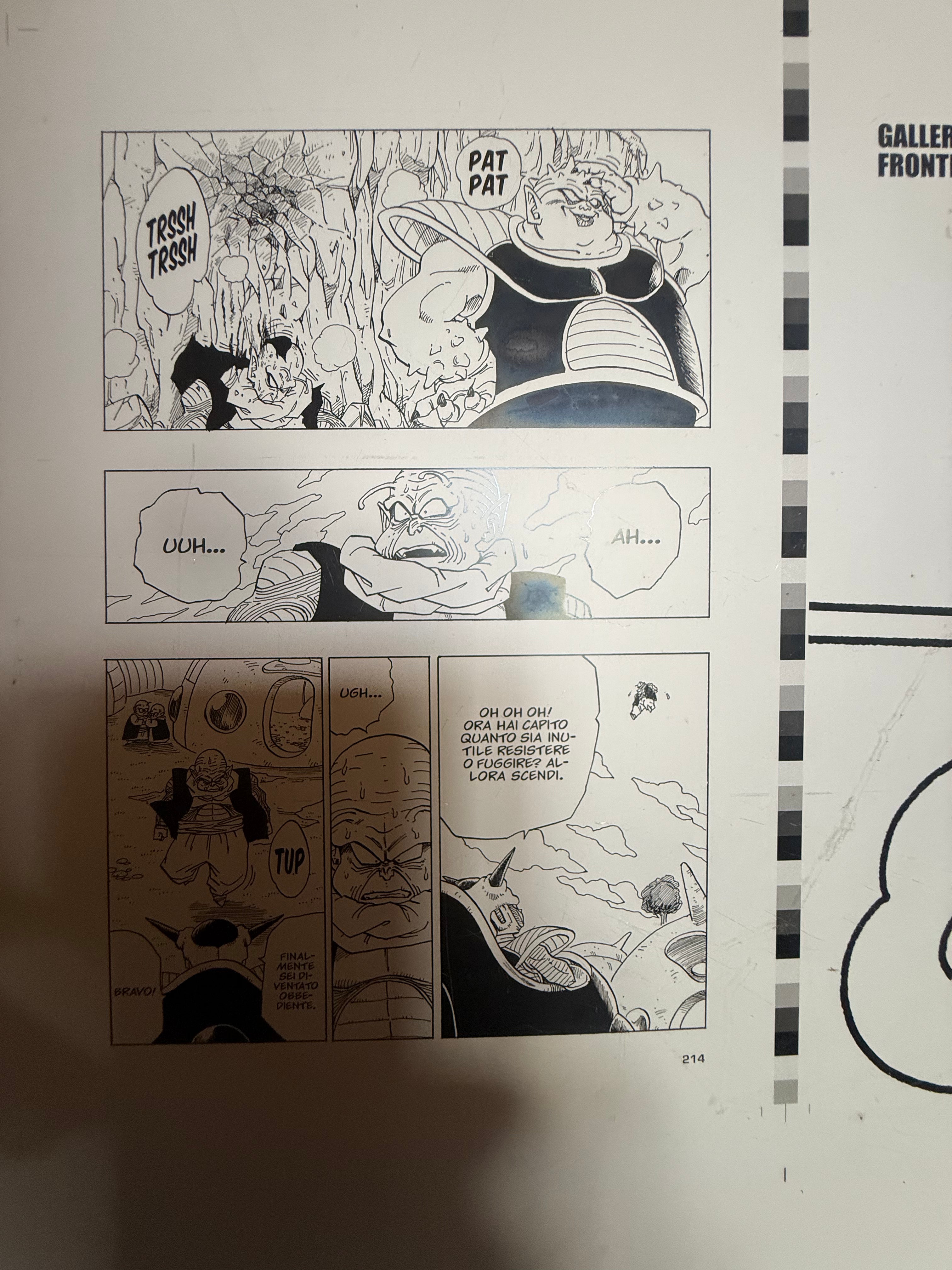Lastra di Stampa Originale Offset in Alluminio – Dragon Ball (Saga di Namecc)
