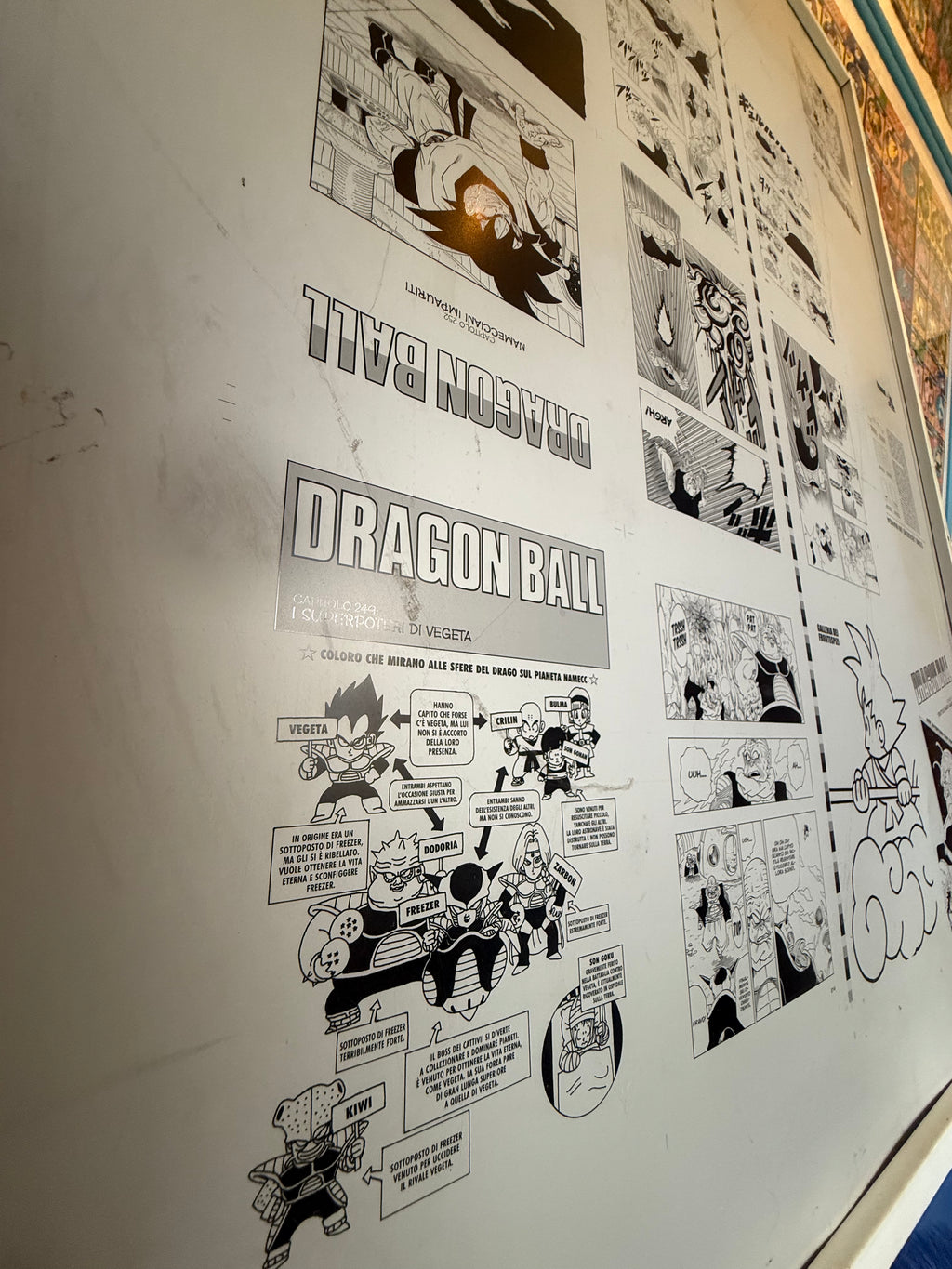 Lastra di Stampa Originale Offset in Alluminio – Dragon Ball (Saga di Namecc)
