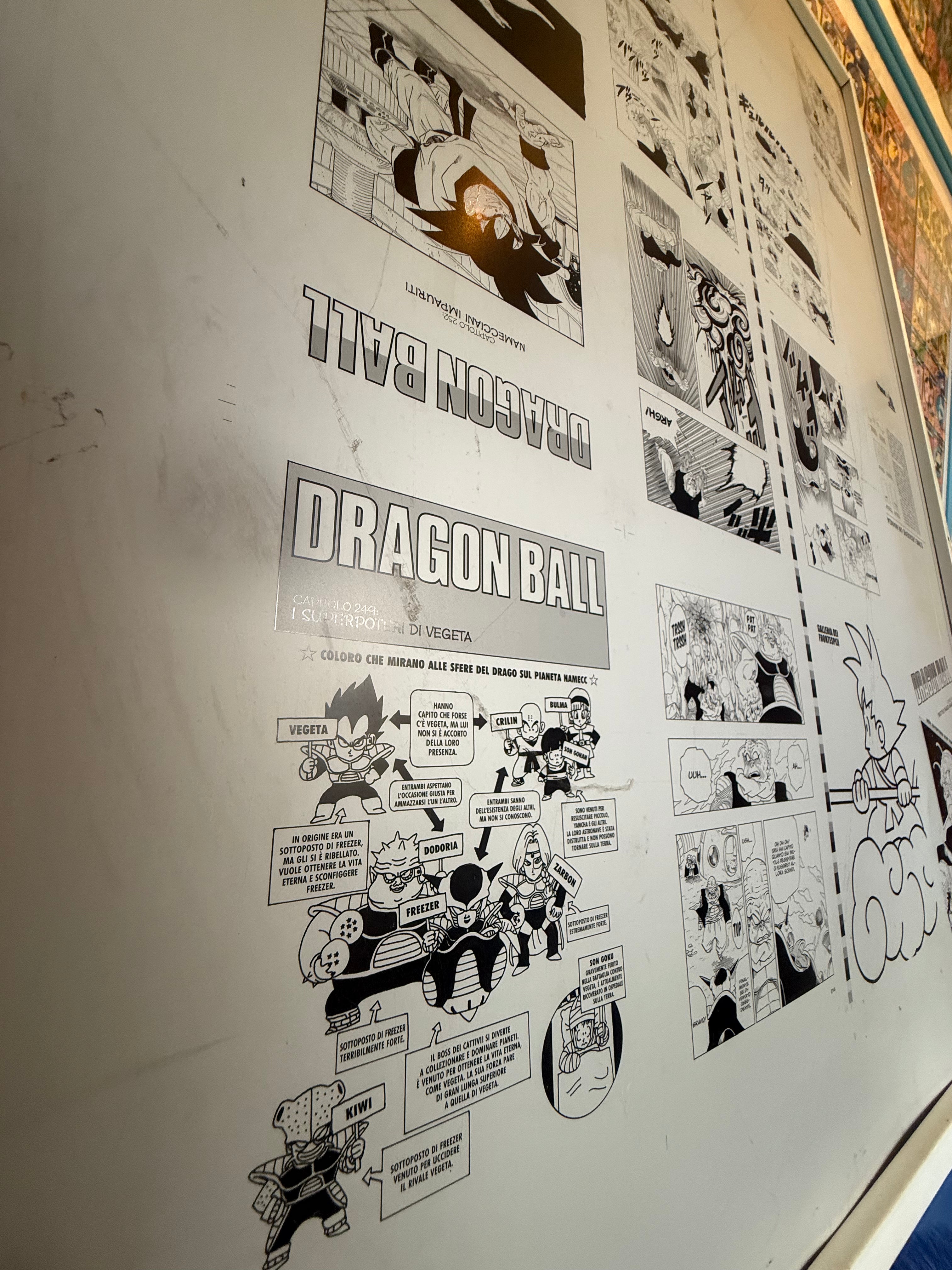 Lastra di Stampa Originale Offset in Alluminio – Dragon Ball (Saga di Namecc)