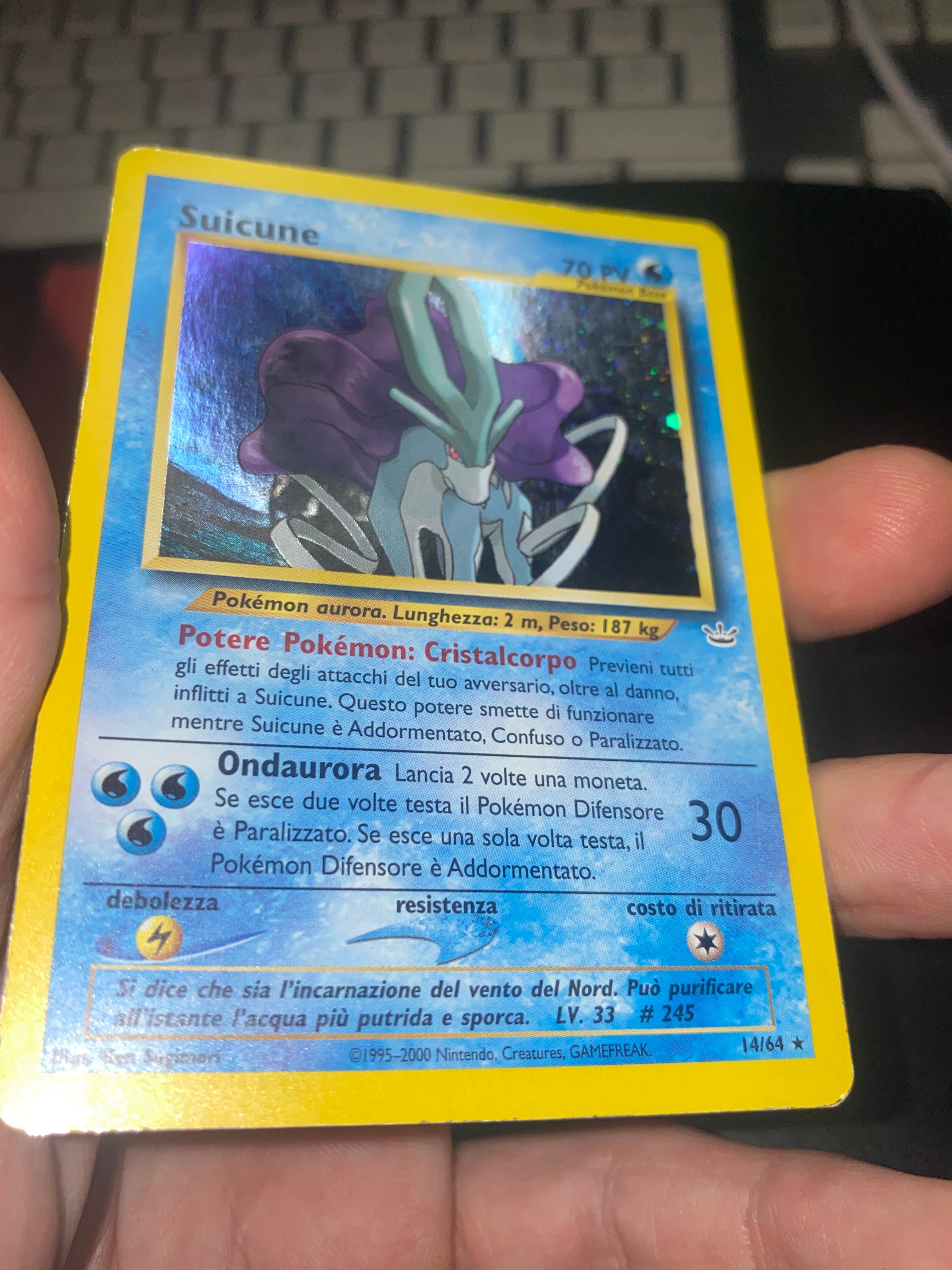 Suicune 14/64 ITA Holo Neo Revelation GOOD