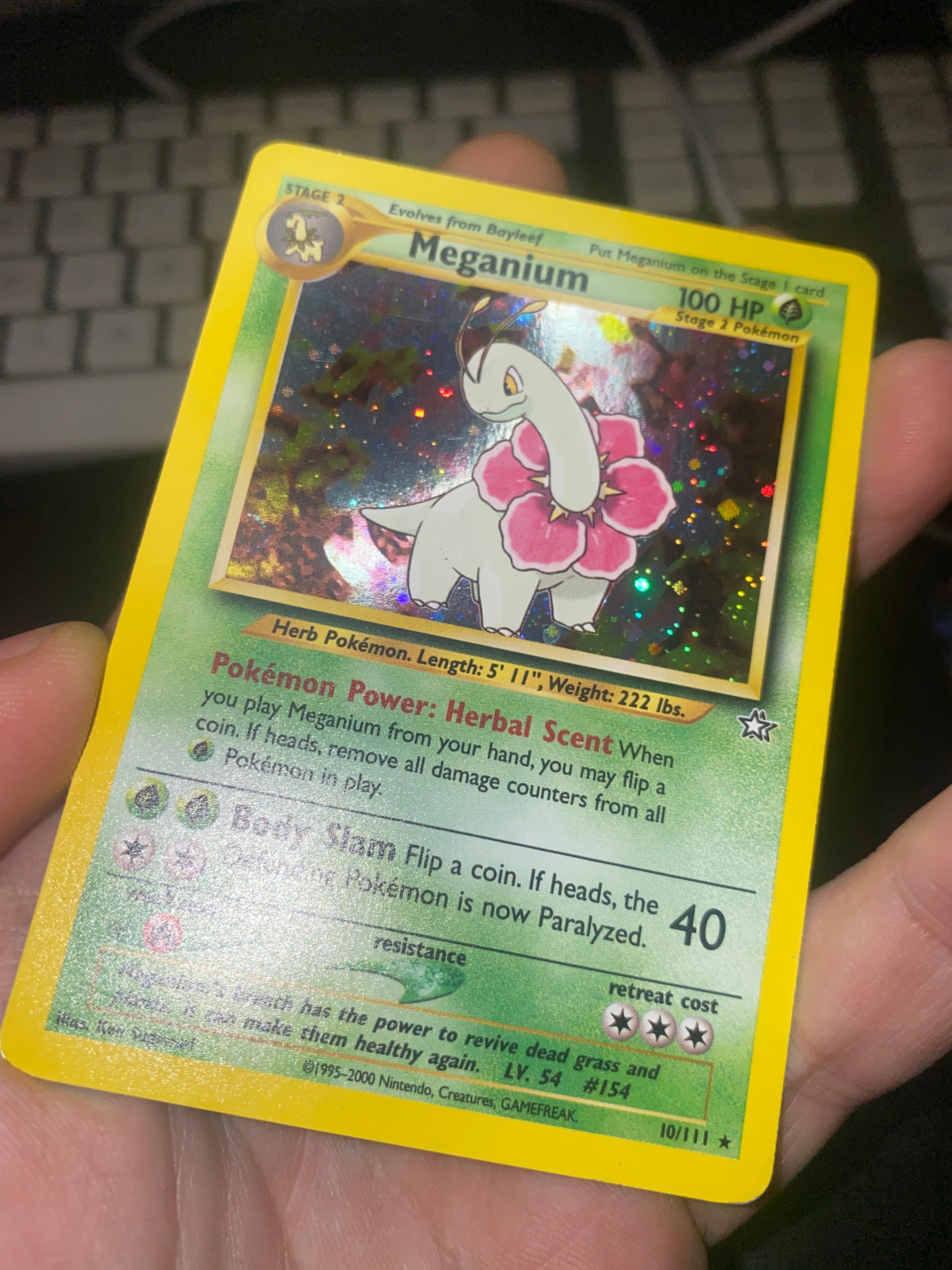 Meganium Neo Genesis ENG EX+