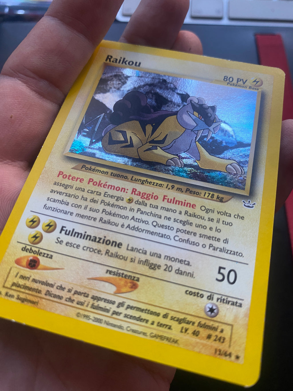 Raikou 13/64 Holo ITA EX Neo Revelation