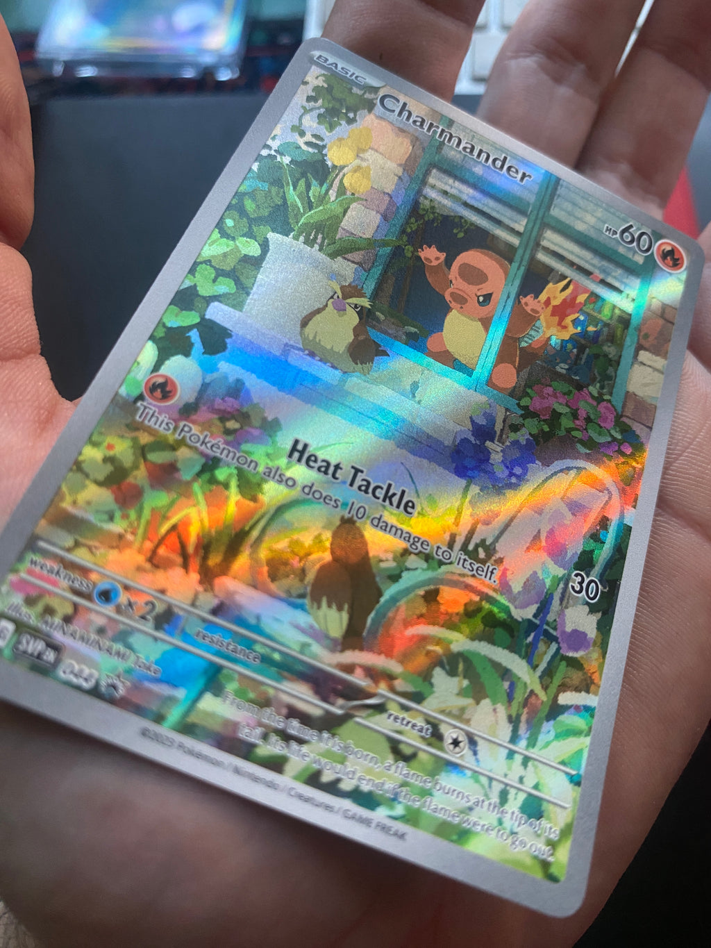 Charmander 044 ENG Promo Near Mint
