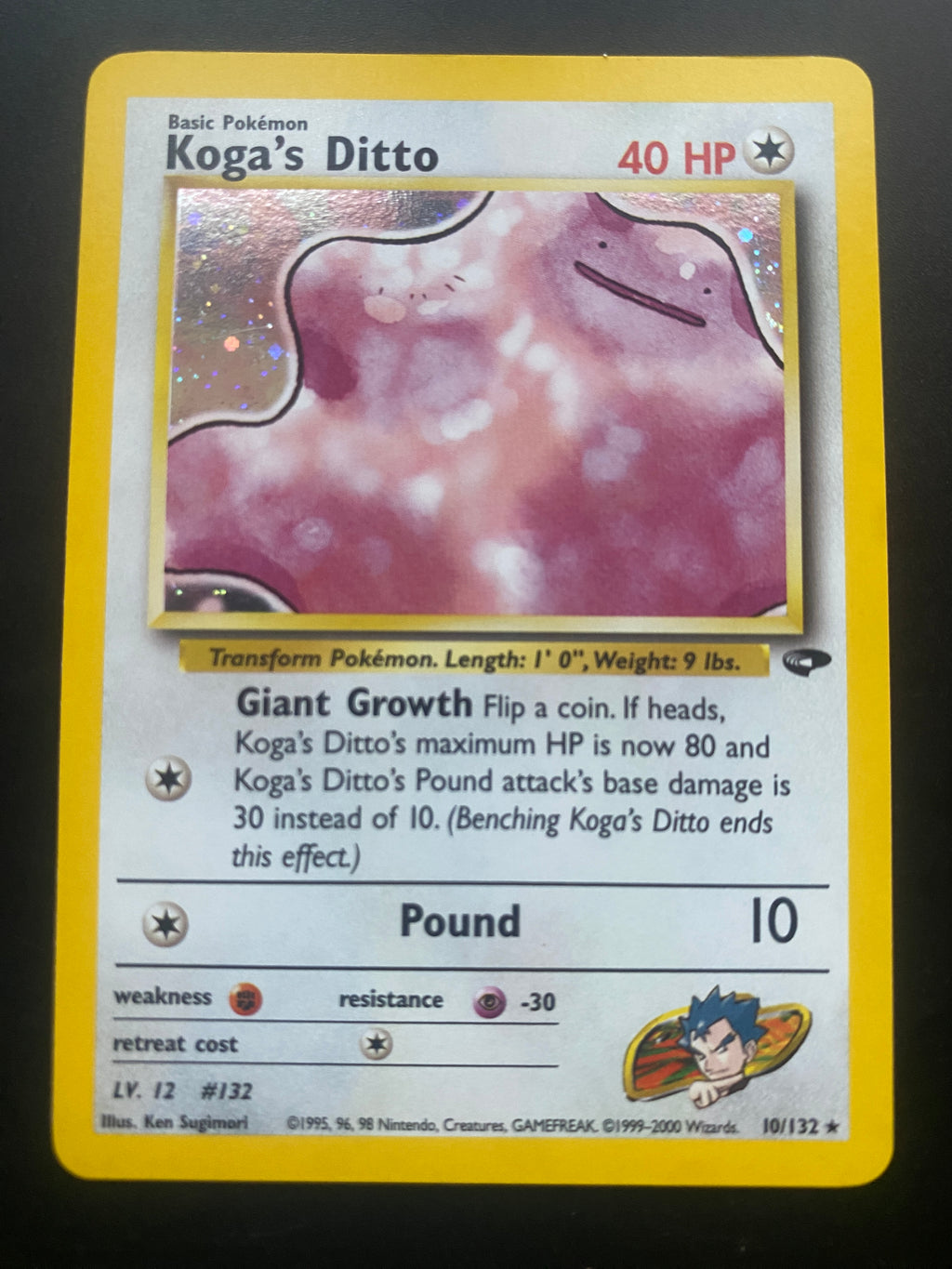Koga's Ditto EX+ Gym Challenge