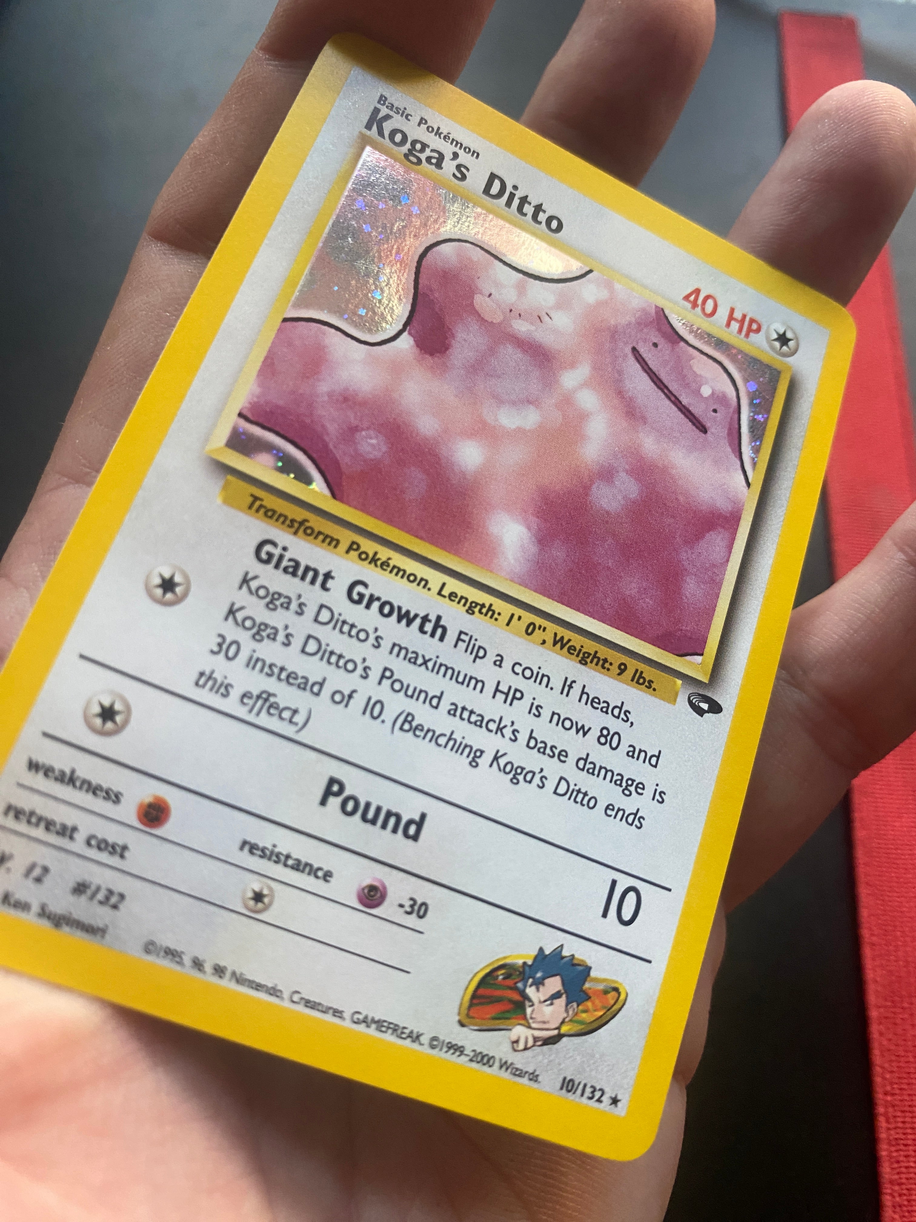 Koga's Ditto EX+ Gym Challenge