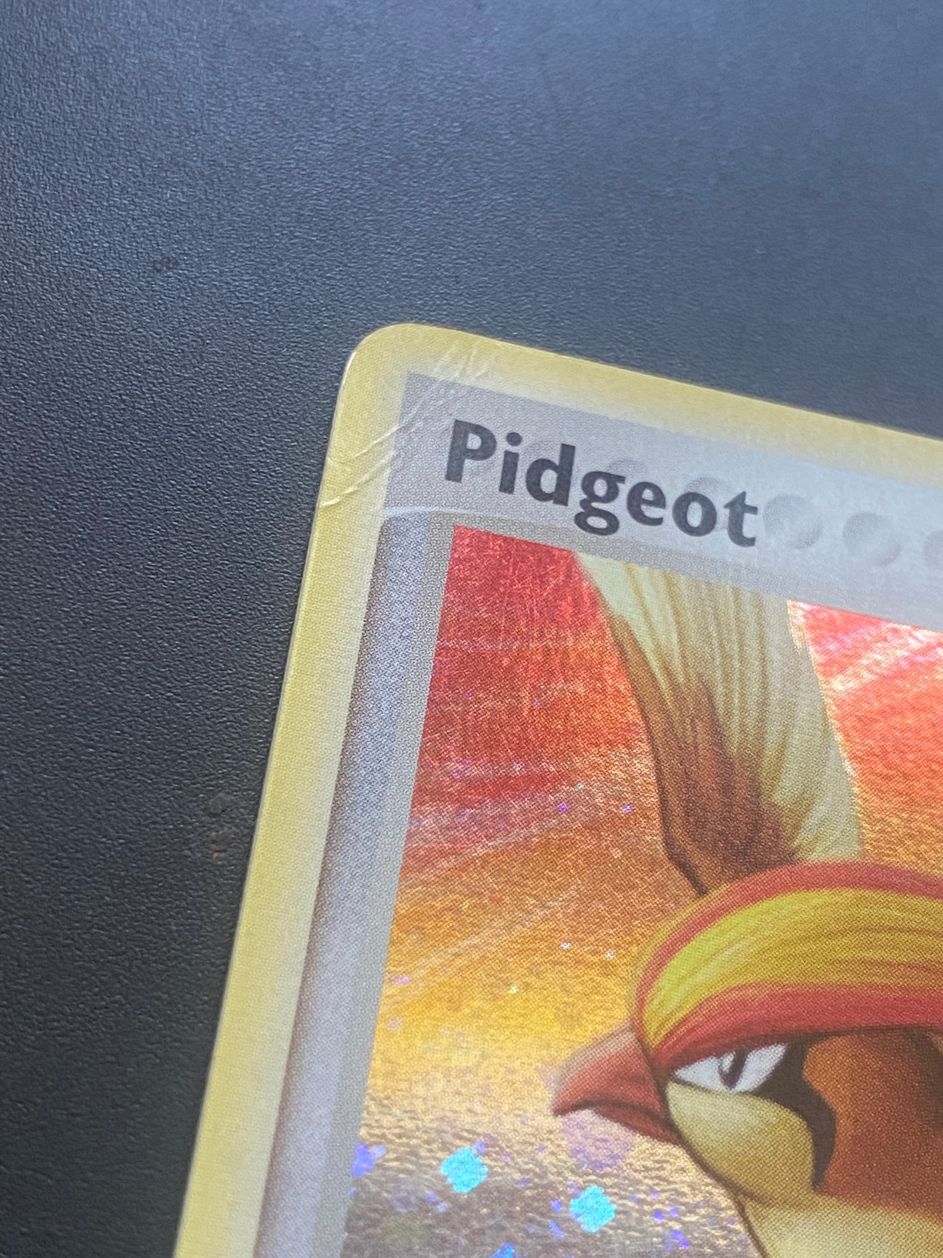 PIDGEOT  ITA LP