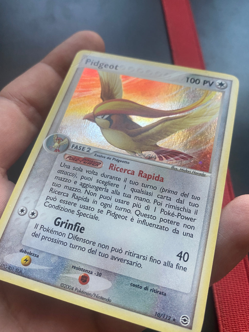 PIDGEOT  ITA LP