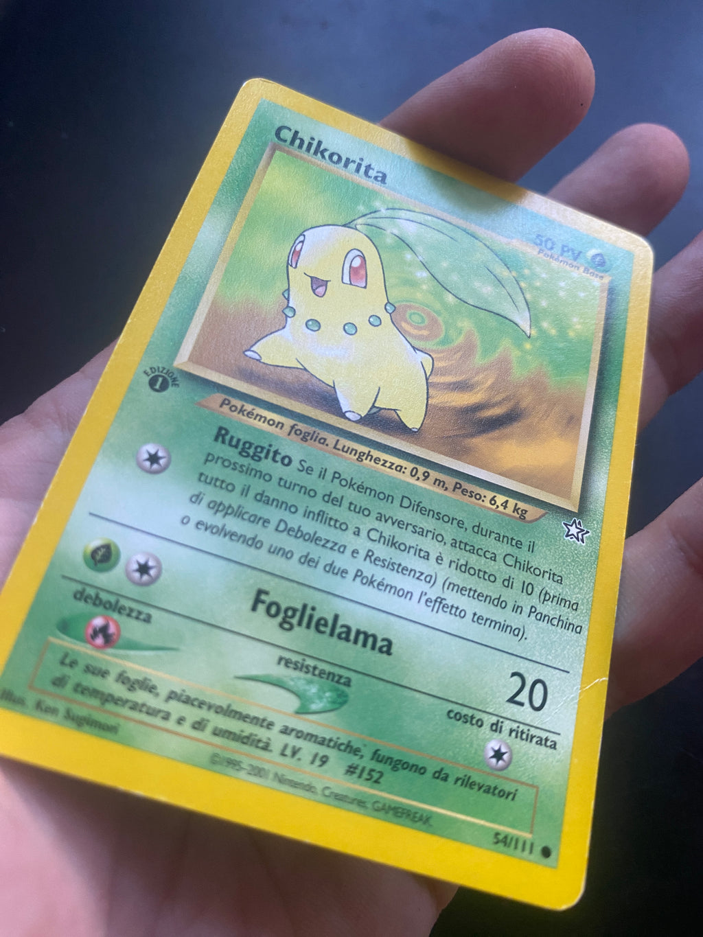 CHIKORITA 1 ED ITA GOOD