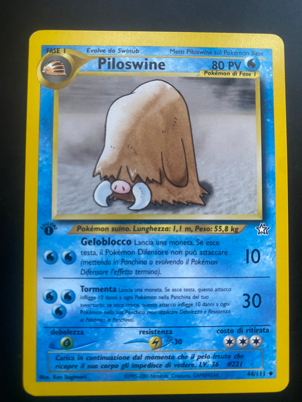 PILOSWINE 1 ED ITA EX