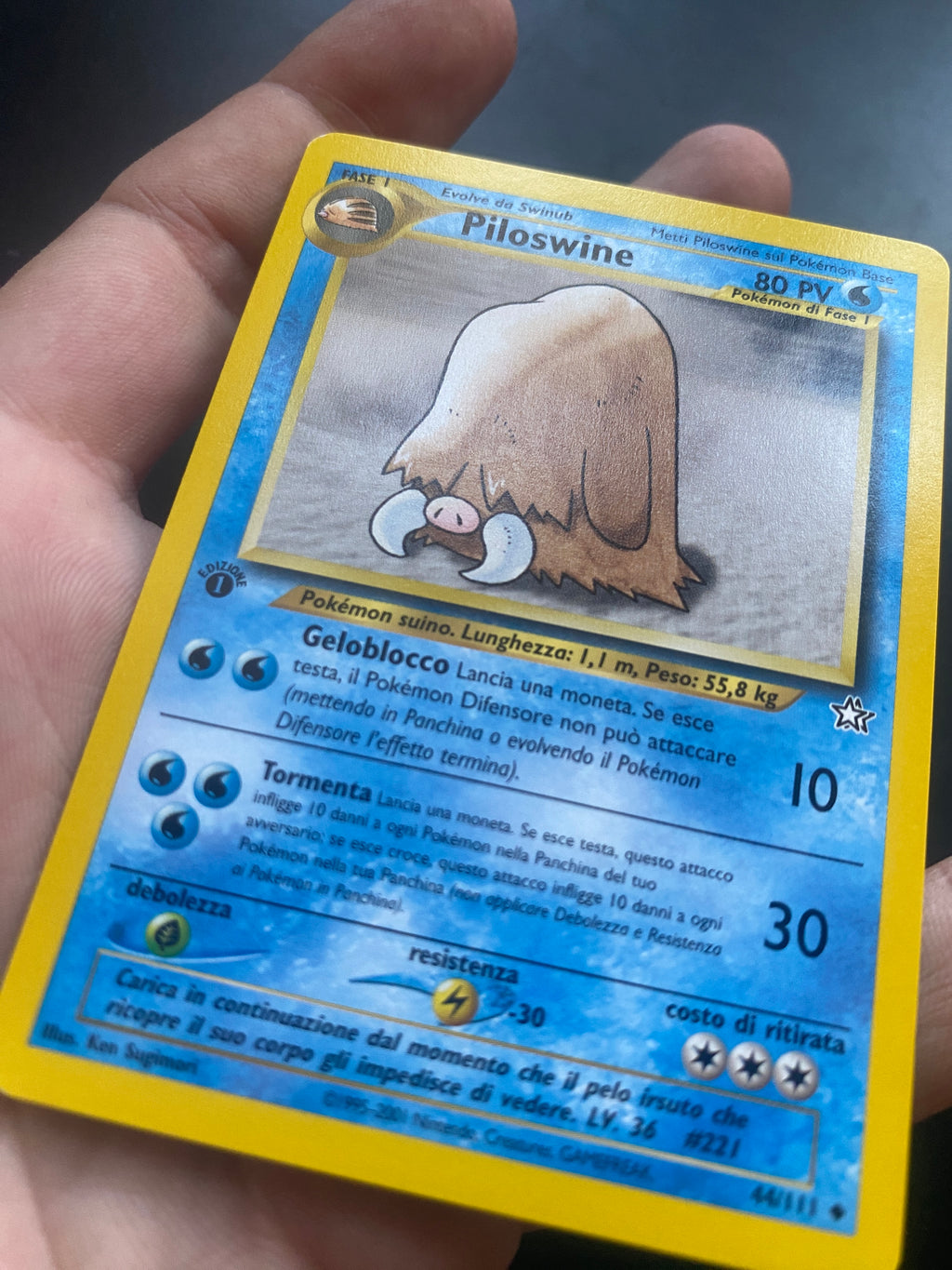 PILOSWINE 1 ED ITA EX