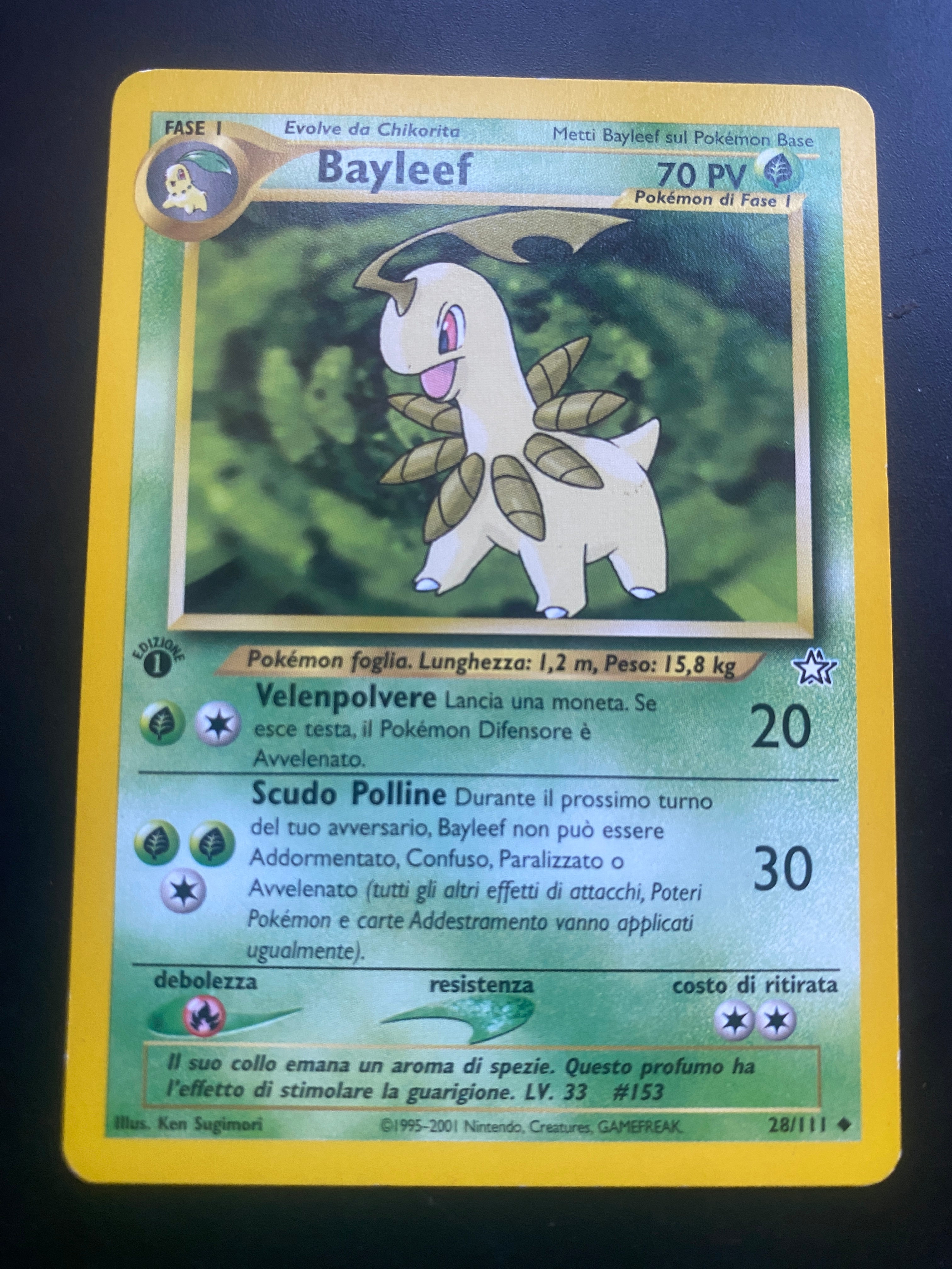 BAYLEEF 1 ED ITA EX