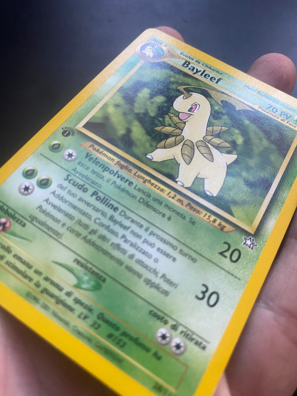 BAYLEEF 1 ED ITA EX