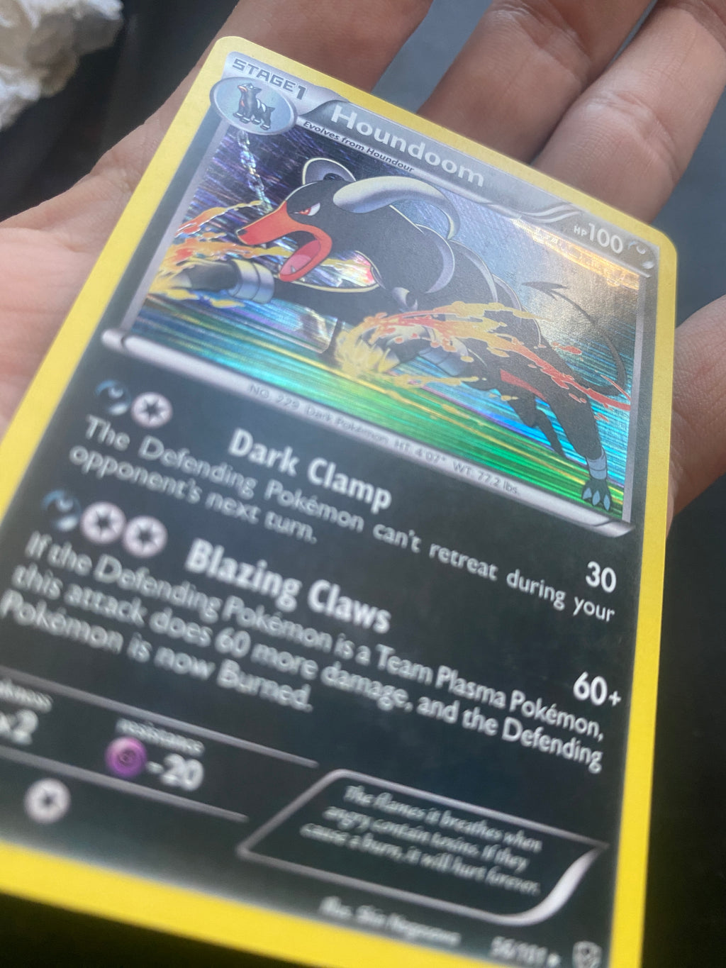 HOUNDOOM HOLO ENG 56/101 EX
