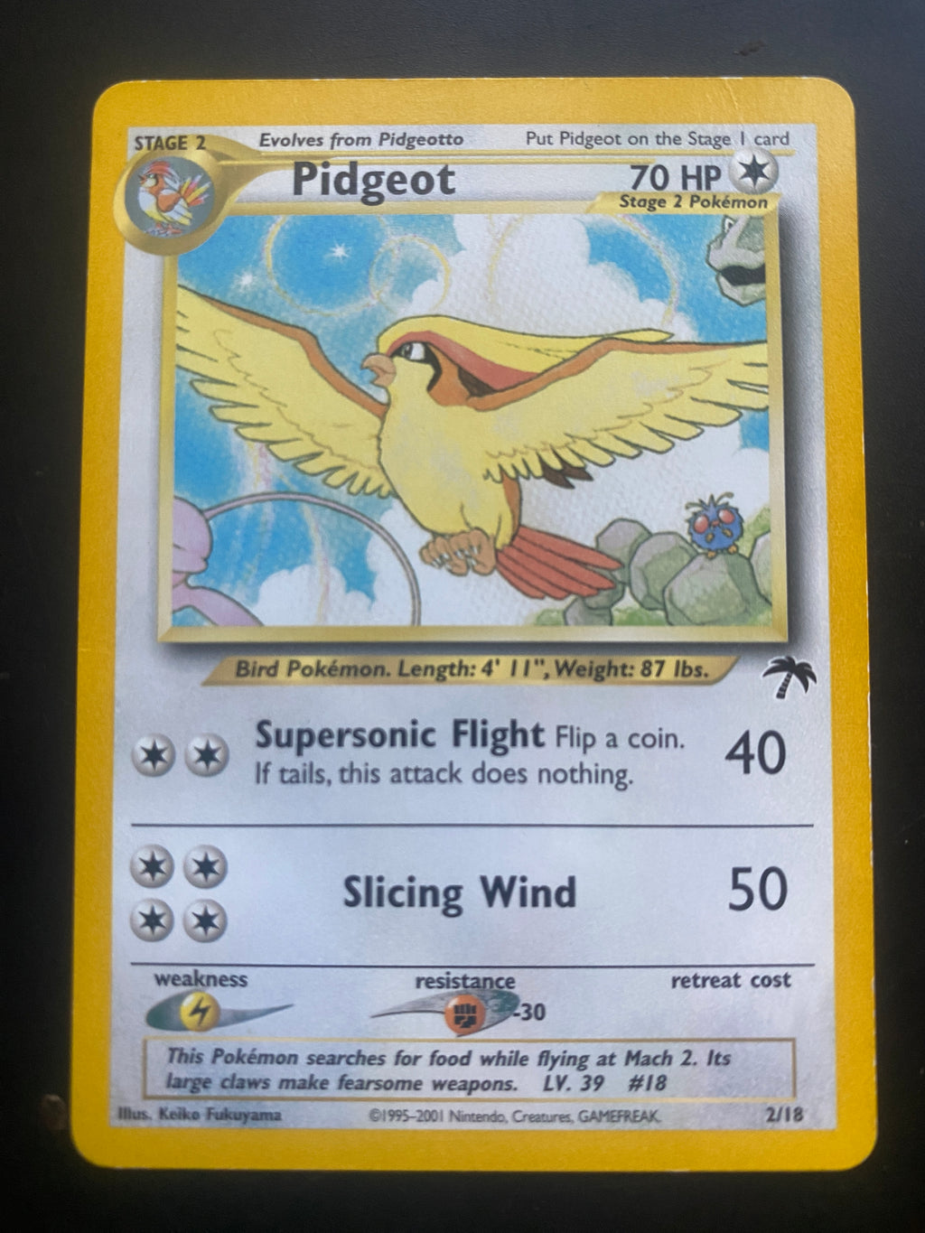 PIDGEOT SOUTHERN ISLAND GOOD + ENG