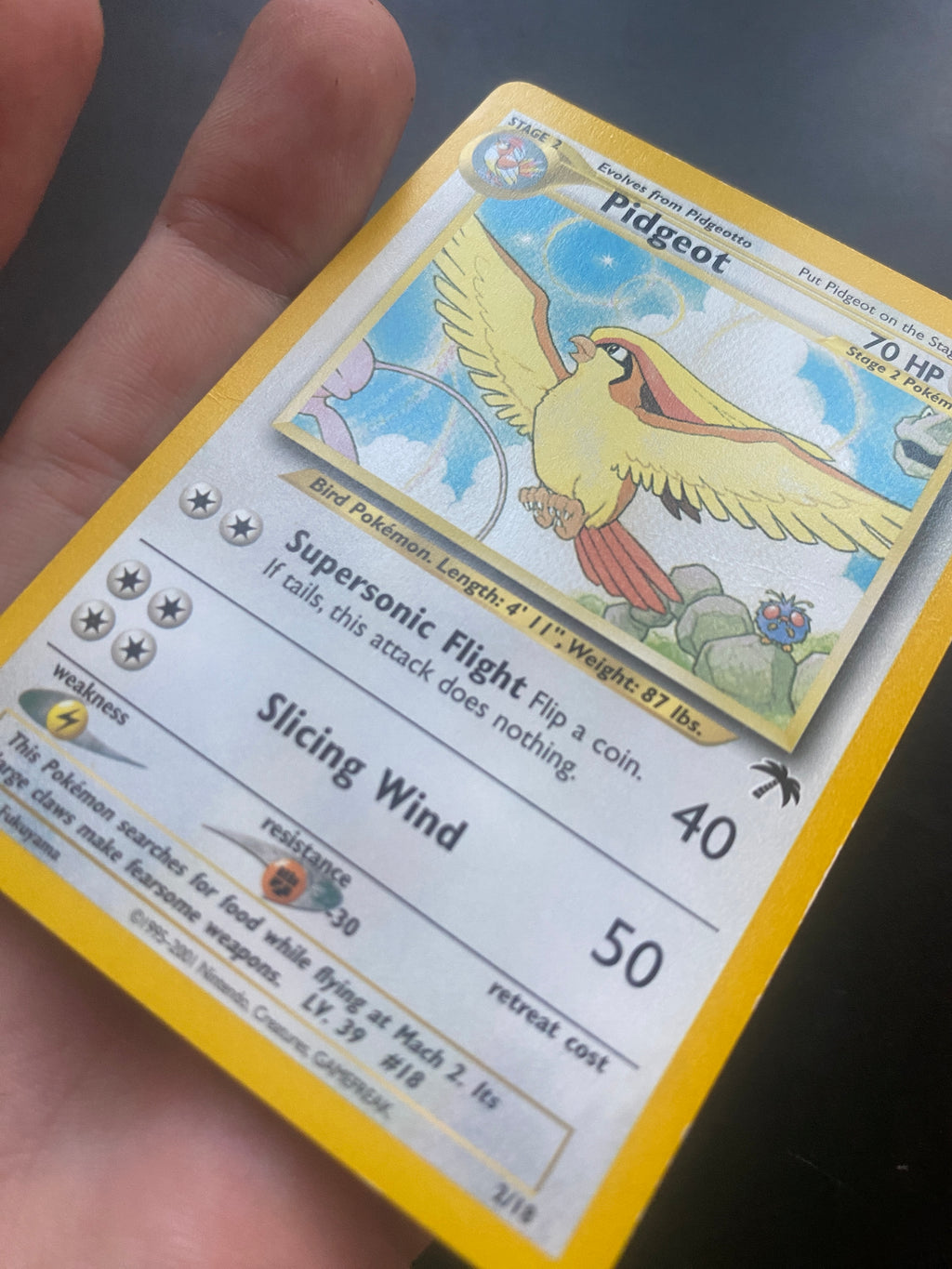 PIDGEOT SOUTHERN ISLAND GOOD + ENG