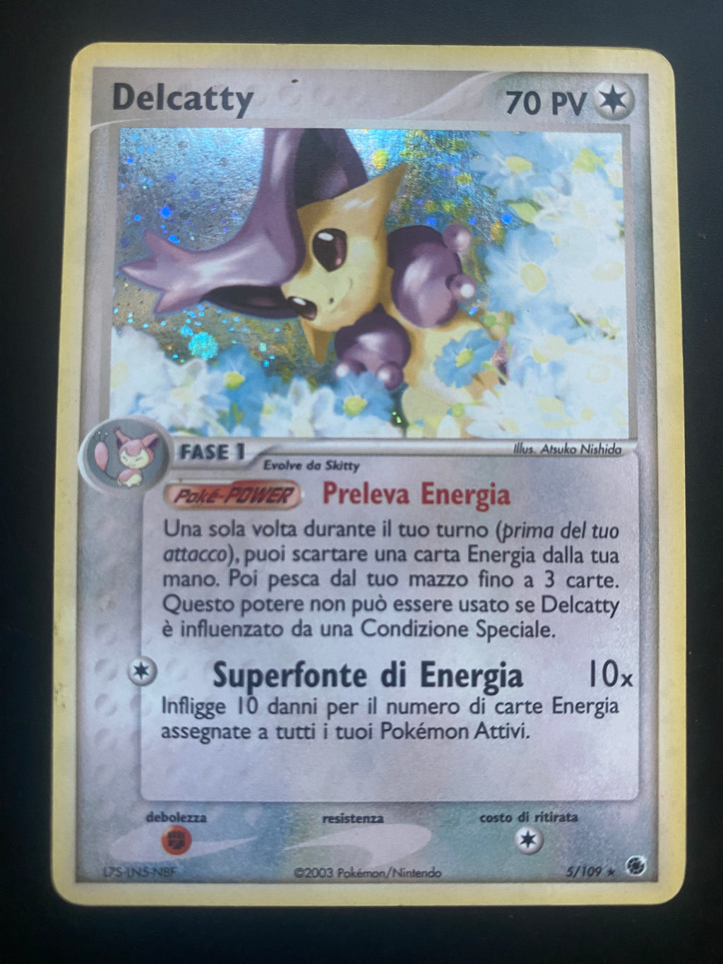 DELCATTY ITA HOLO GOOD