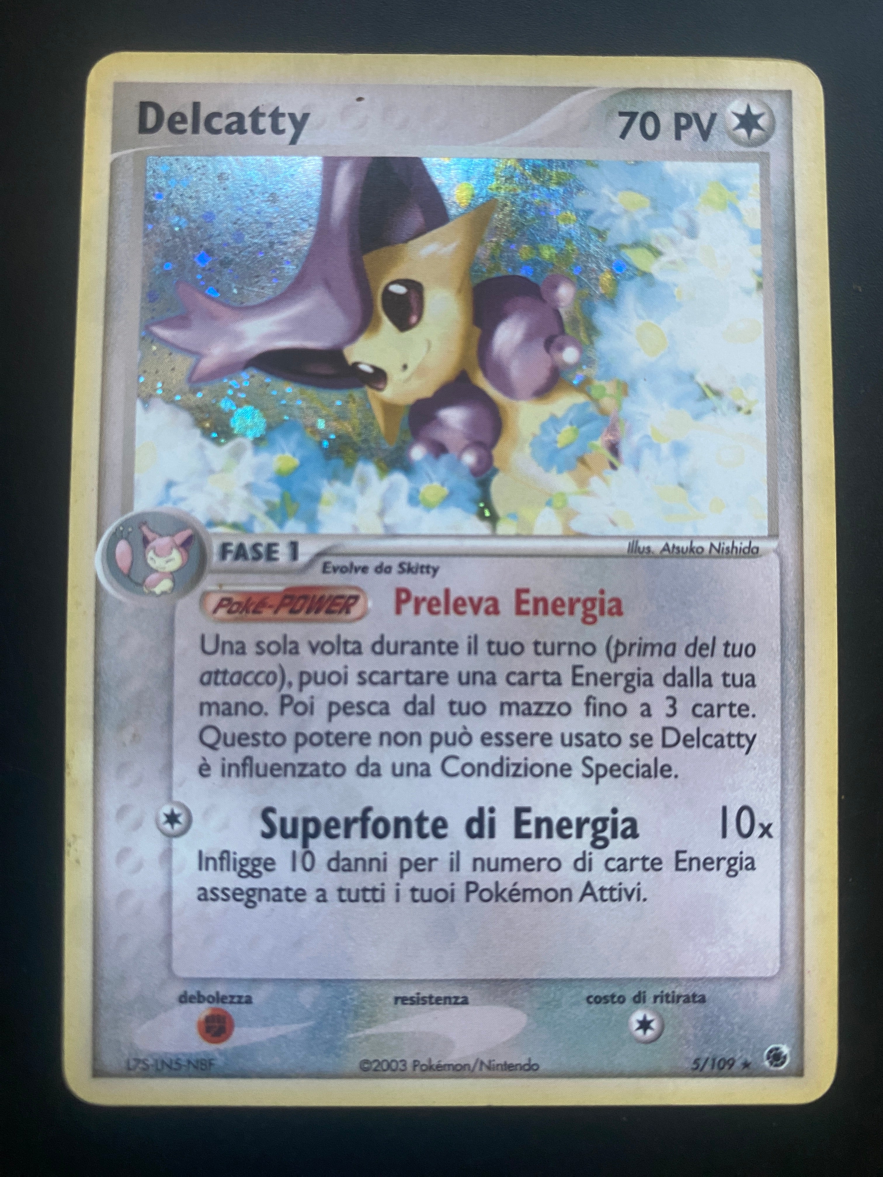 DELCATTY ITA HOLO GOOD