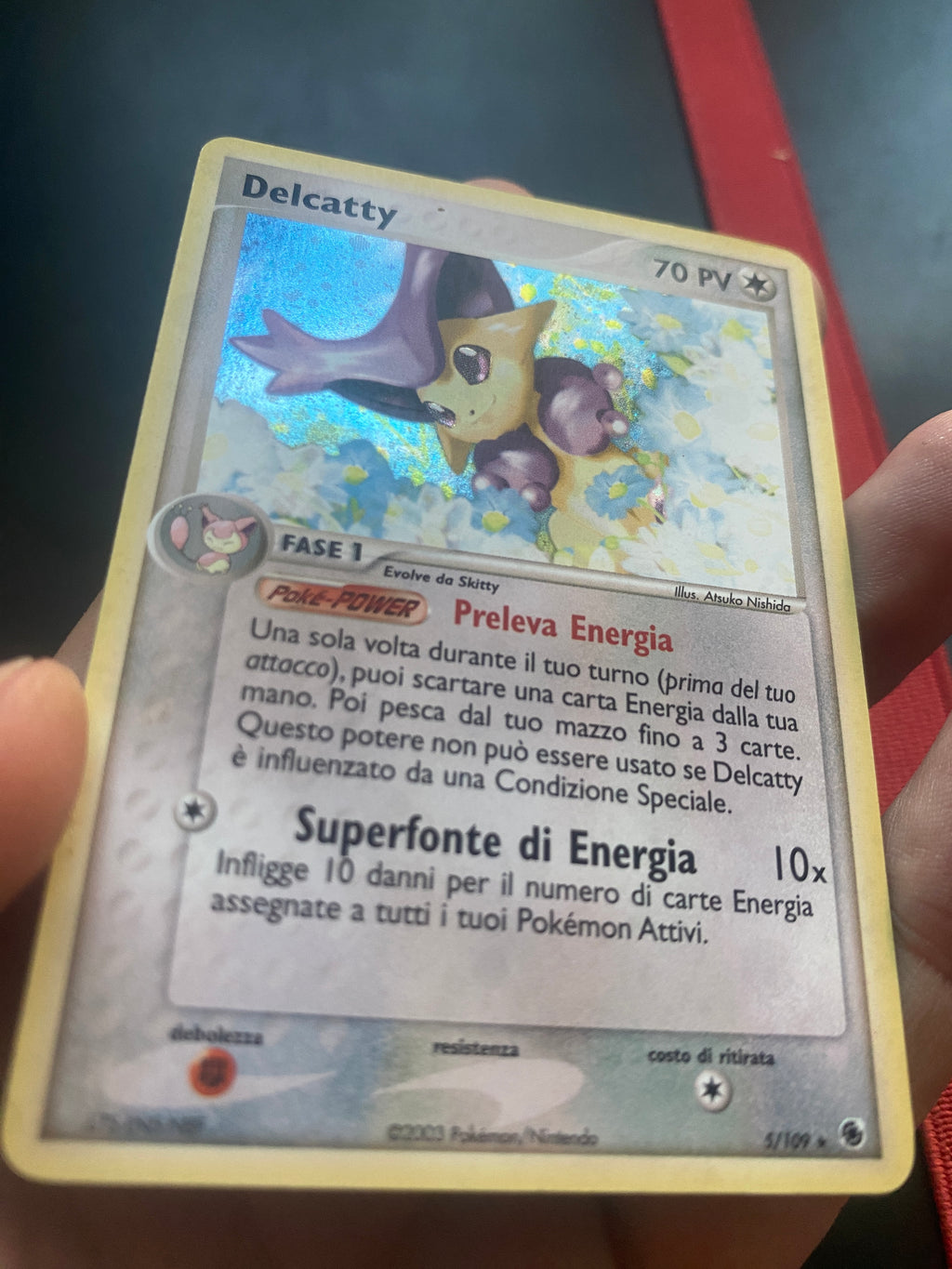 DELCATTY ITA HOLO GOOD